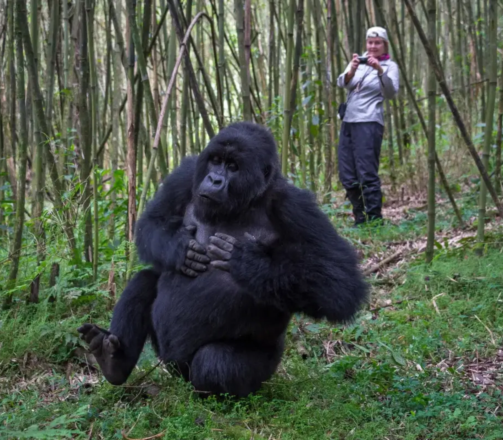 10 Days Classic Rwanda Primates Safari  Attractions