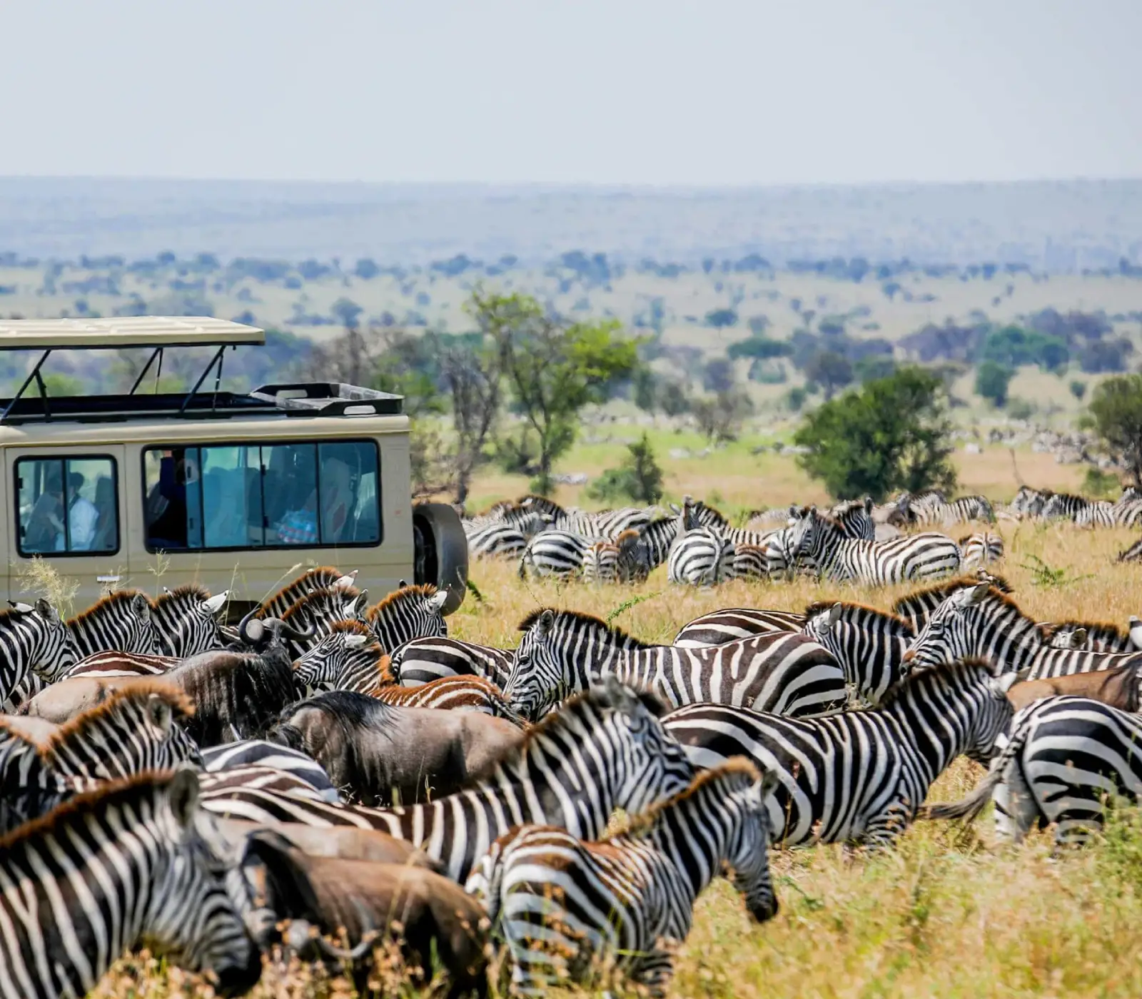 10 Days Serengeti Wildebeest Migration Safari wildlife Attractions