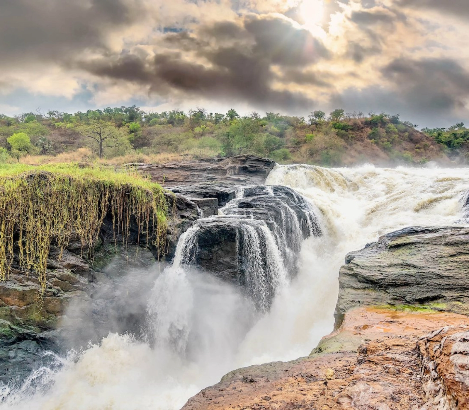 12 Days Best of Uganda Wildlife Safari Attractions