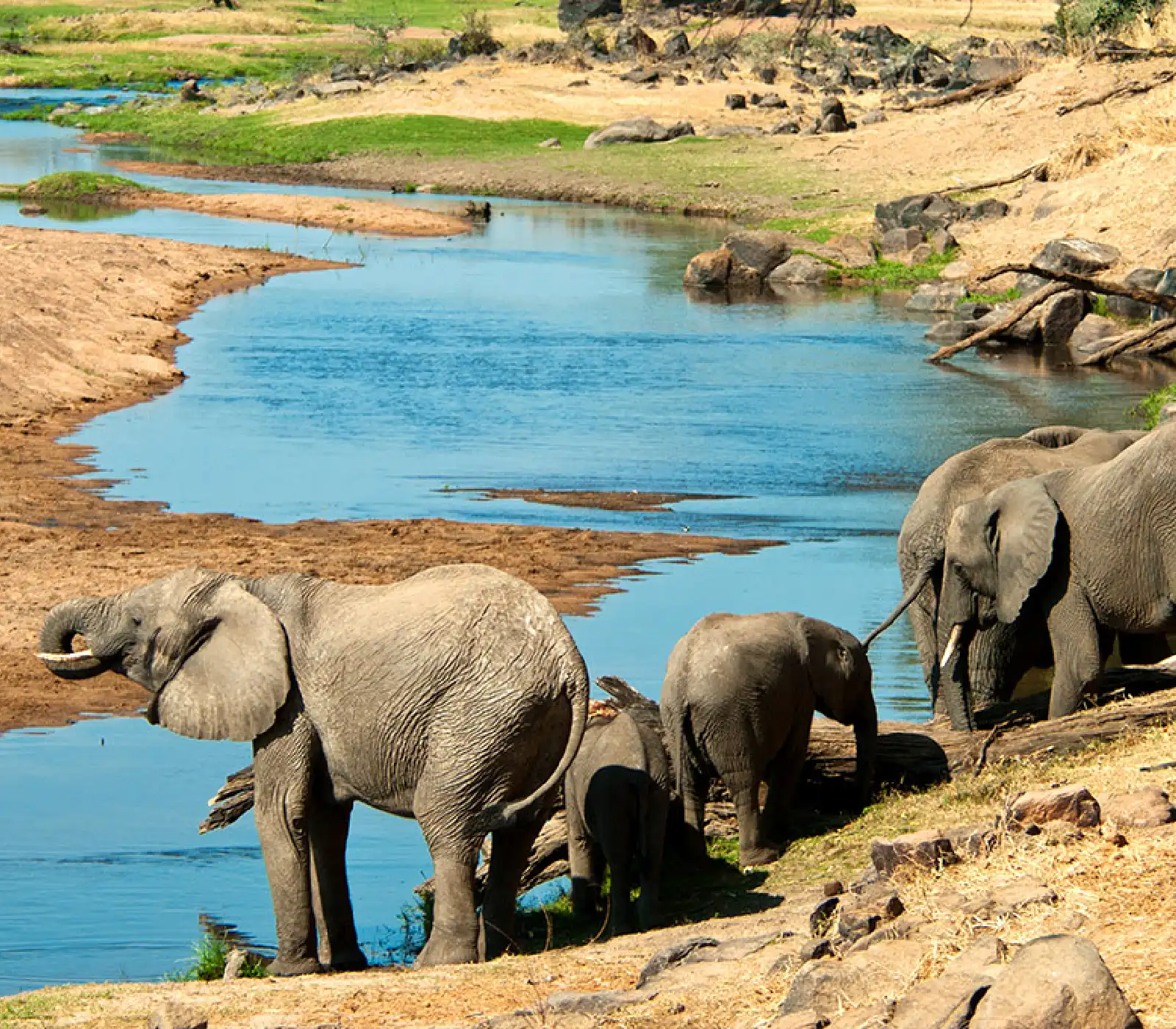 12 Days Family Safari in Tanzania attractions