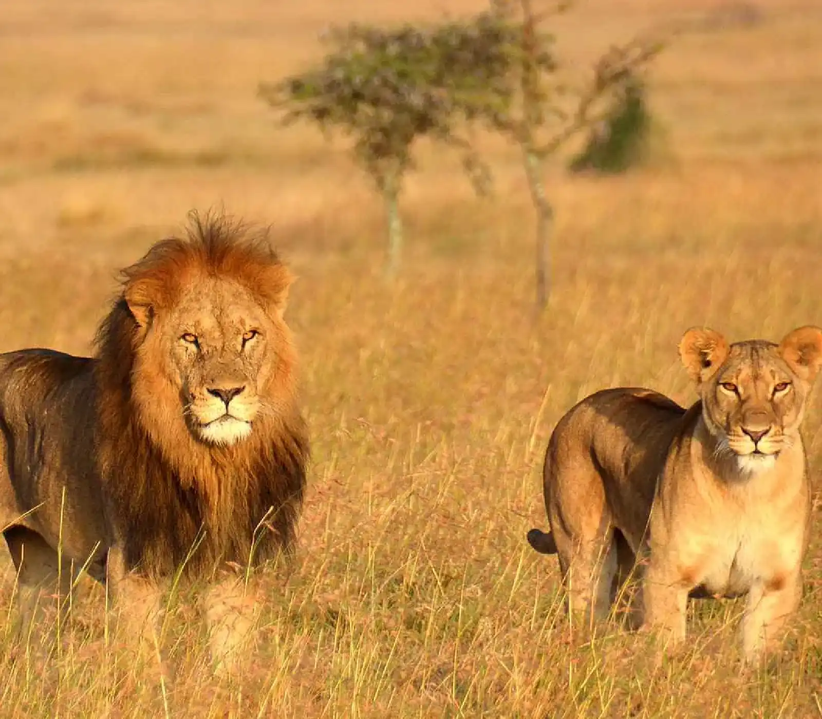 12 Days Family Safari in Tanzania attractions