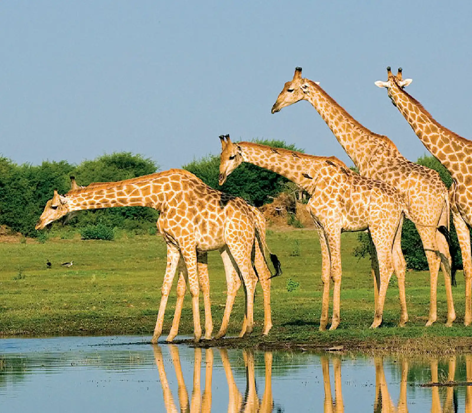 12 Days Family Safari in Tanzania attractions