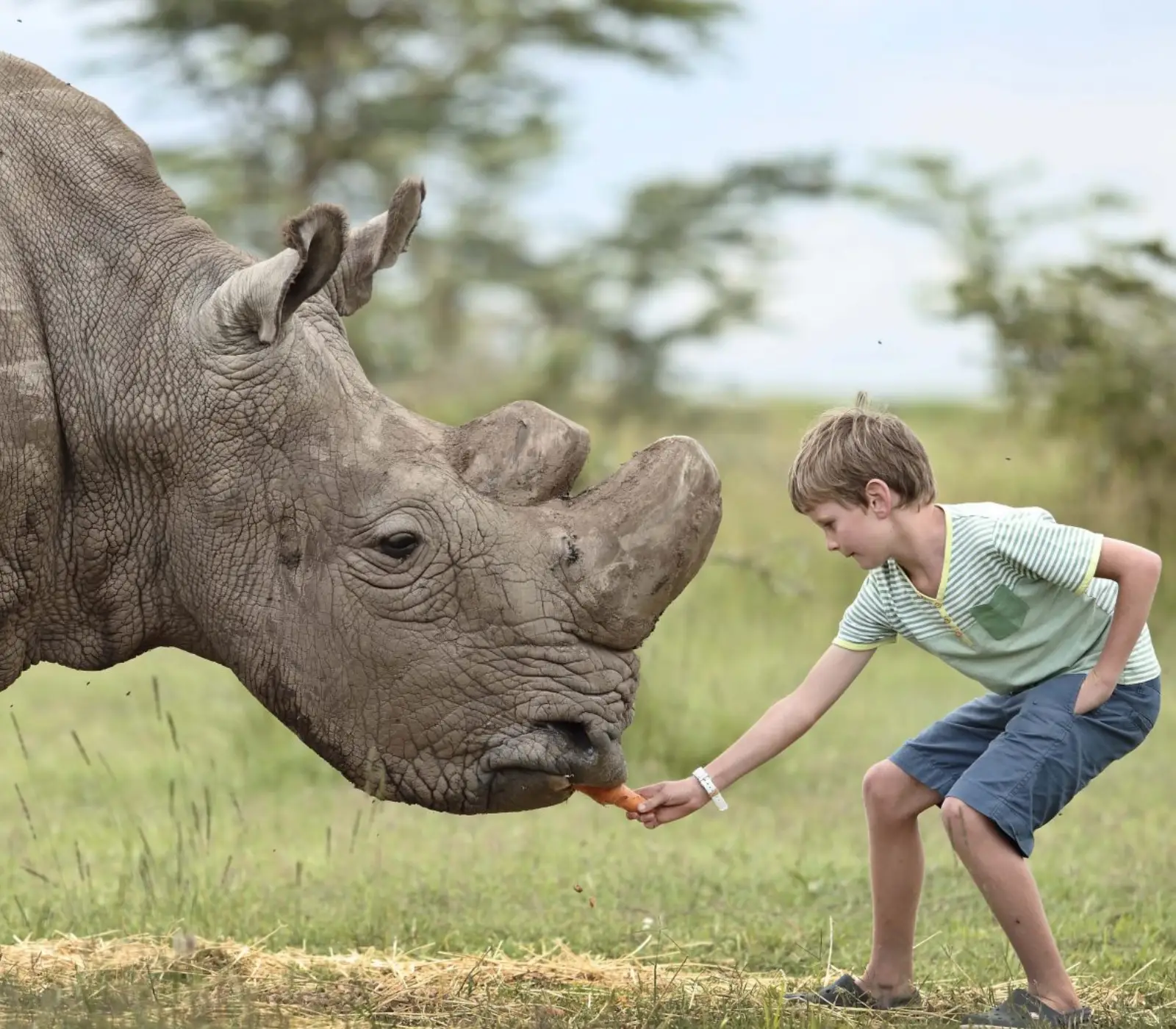 2-Day, 1-Night Ol Pejeta Wildlife Sanctuary Group Safari