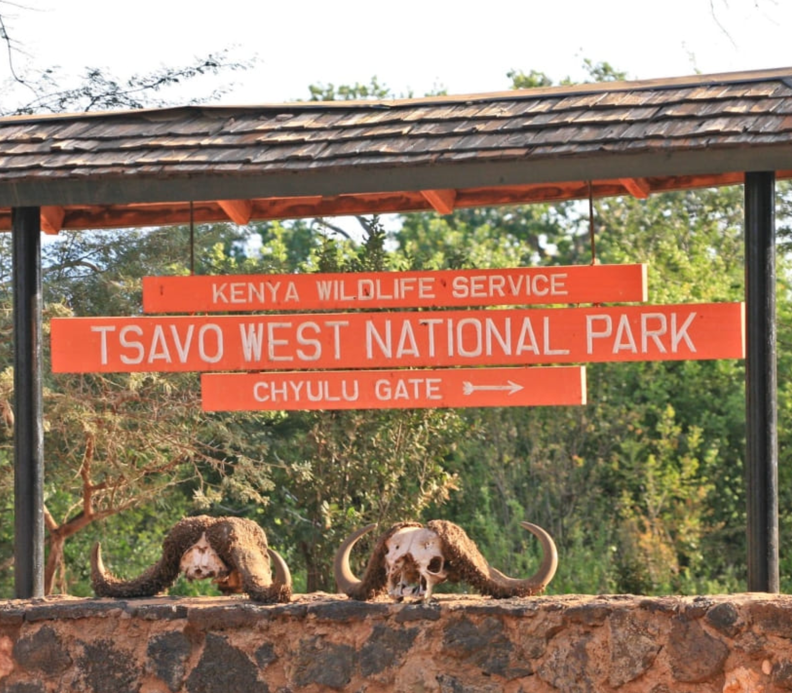 2-Day, 1-Night Tsavo West National Park Safari Attractions