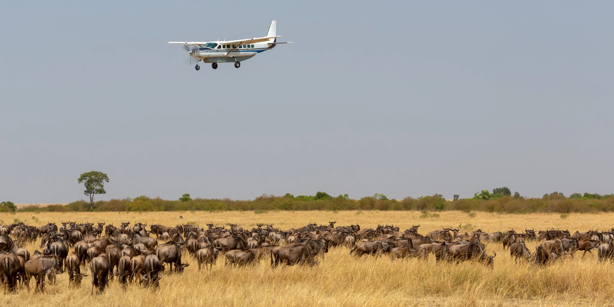 2-Day Fly-In Safari from Mombasa to Masai Mara