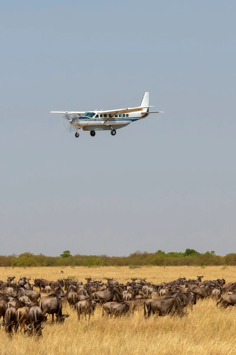 2-Day Fly-In Safari from Mombasa to Masai Mara