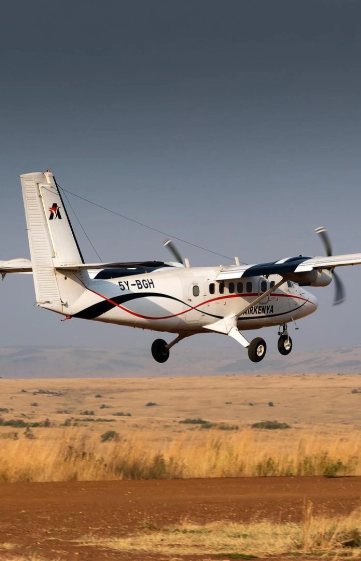 2-Day Fly-In Safari to the Masai Mara 