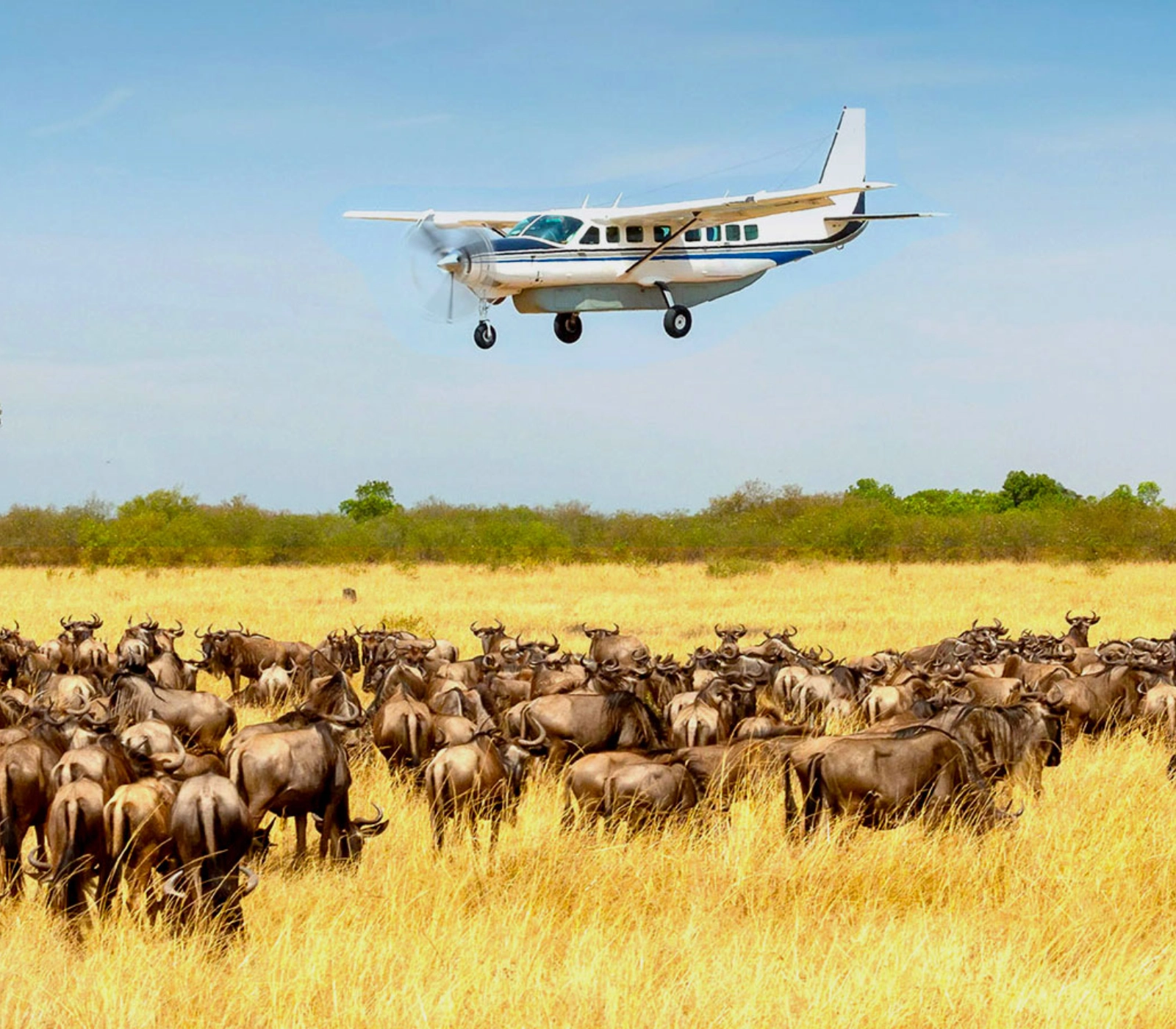 2-Day Fly-In Safari to the Masai Mara Attractions