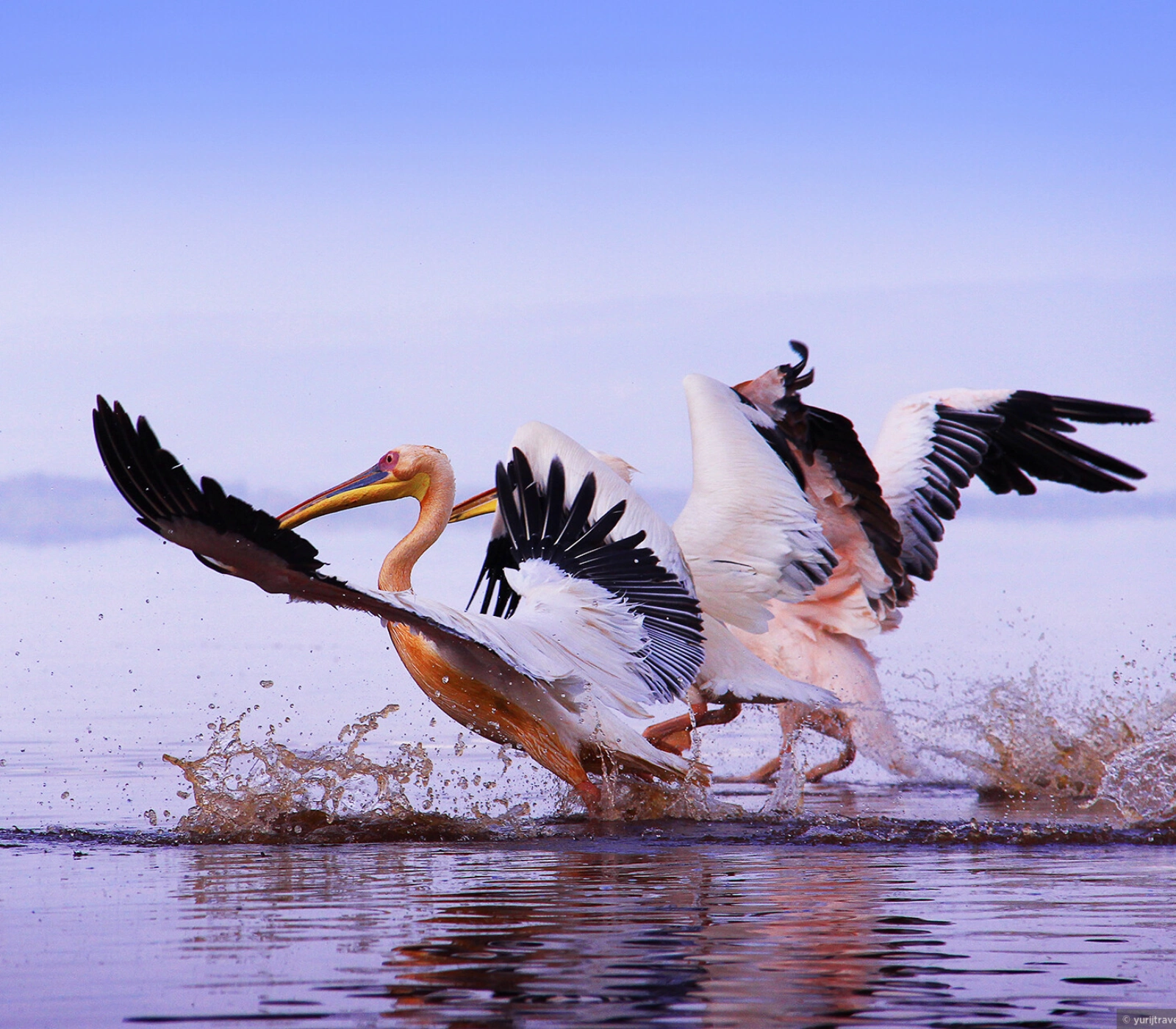 2-Day Lake Nakuru & Lake Naivasha Group Safari Attractions