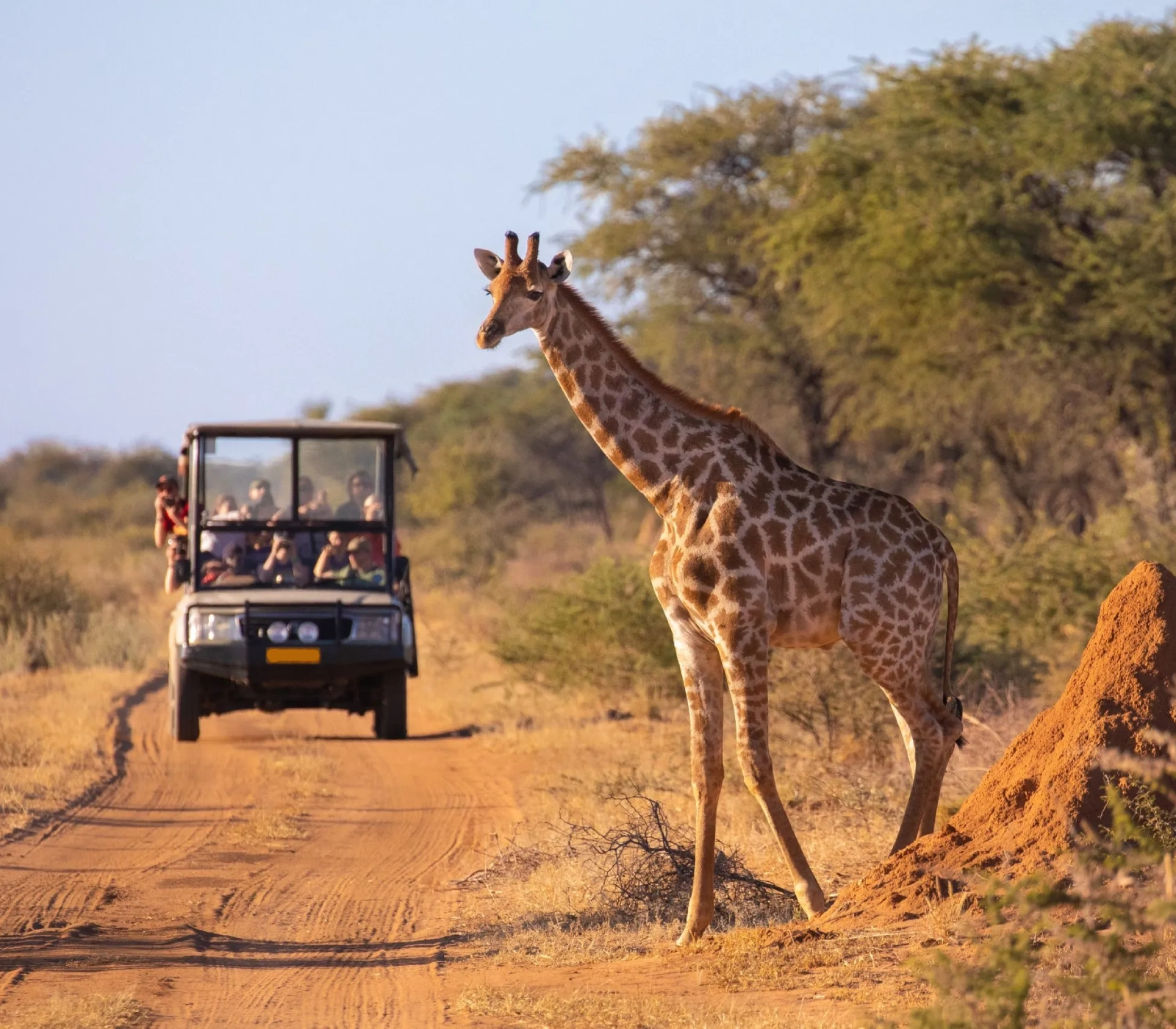 2-Day Masai Mara Safari – Road Adventure Attractions