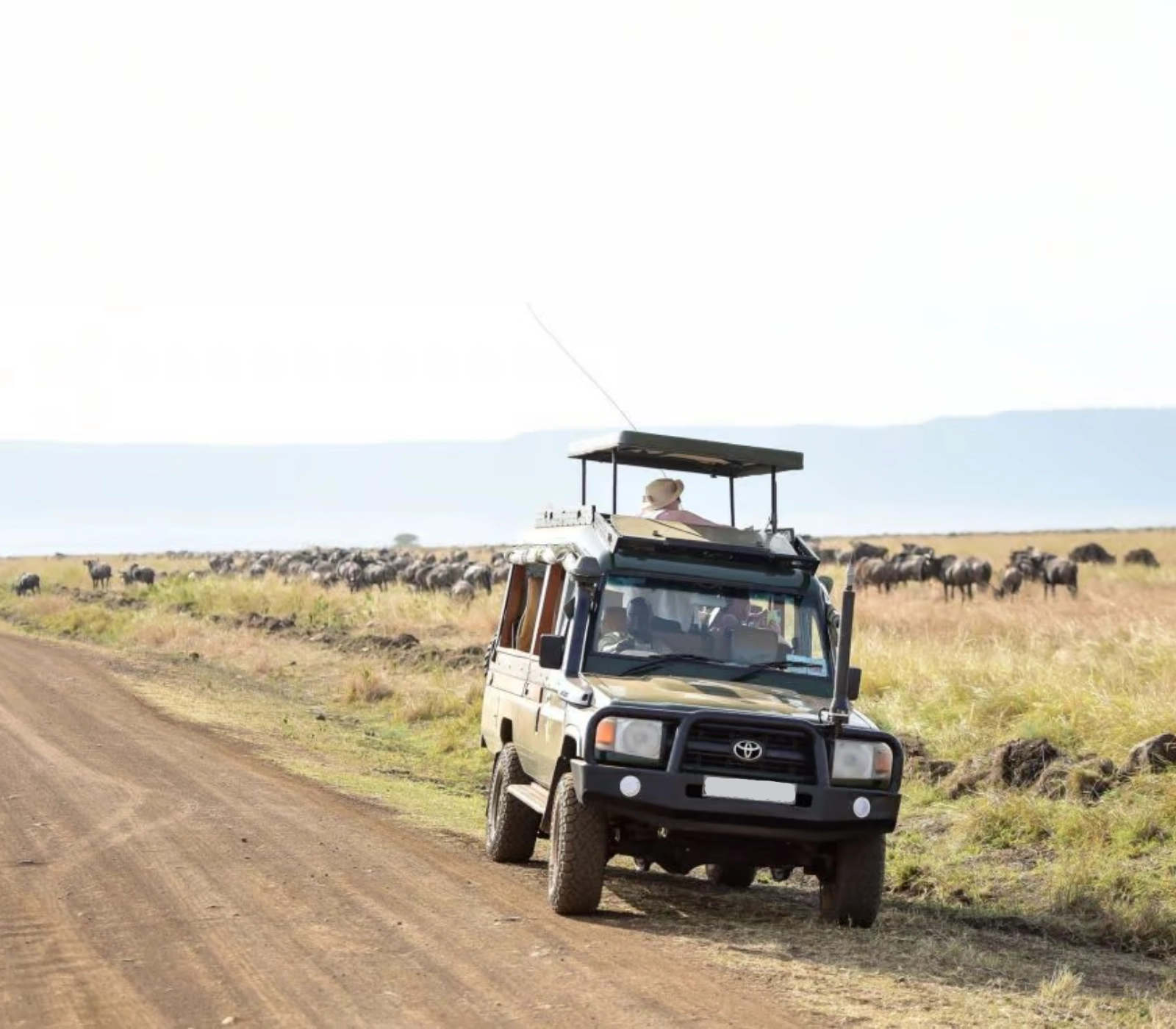 2-Day Masai Mara Safari – Road Adventure Attractions