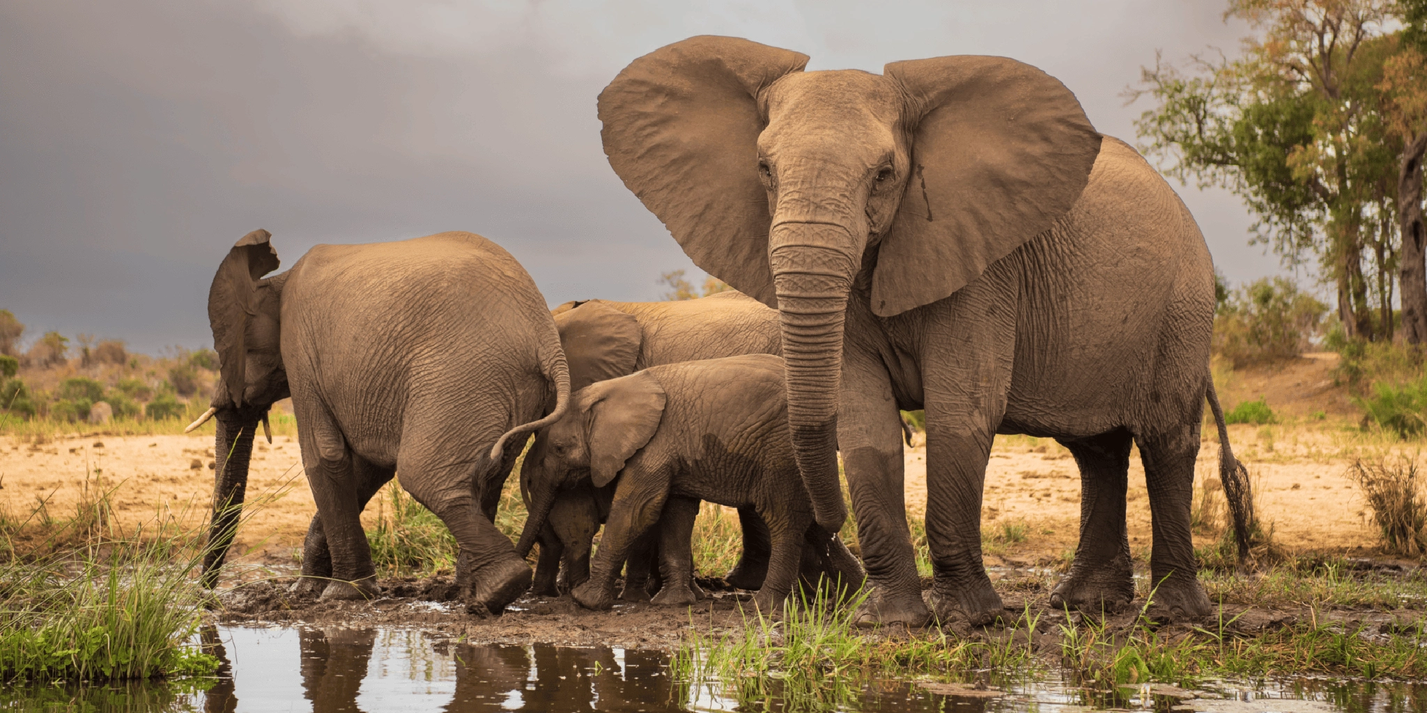 3 Days Big Five Safari in Rwanda 