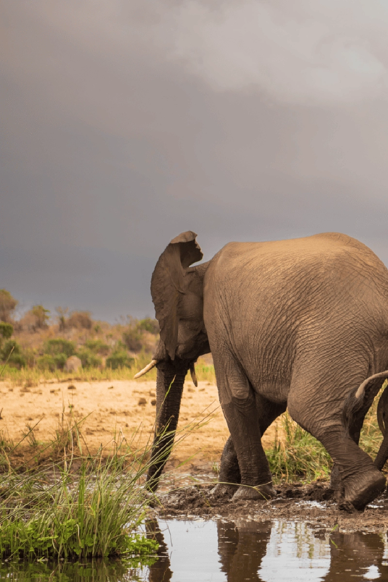 3 Days Big Five Safari in Rwanda