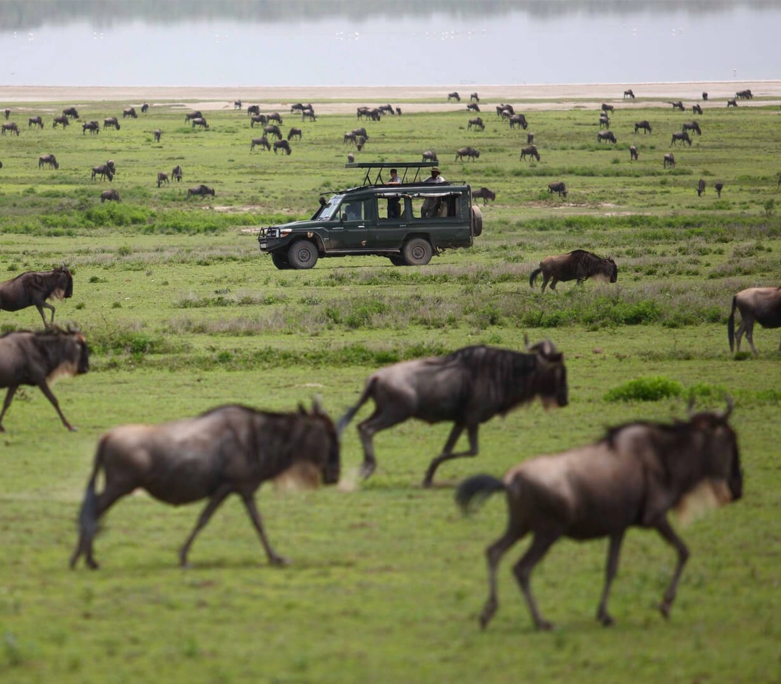 3-Days Masai Mara Flight Safari with Private 4×4 Jeep Attractions