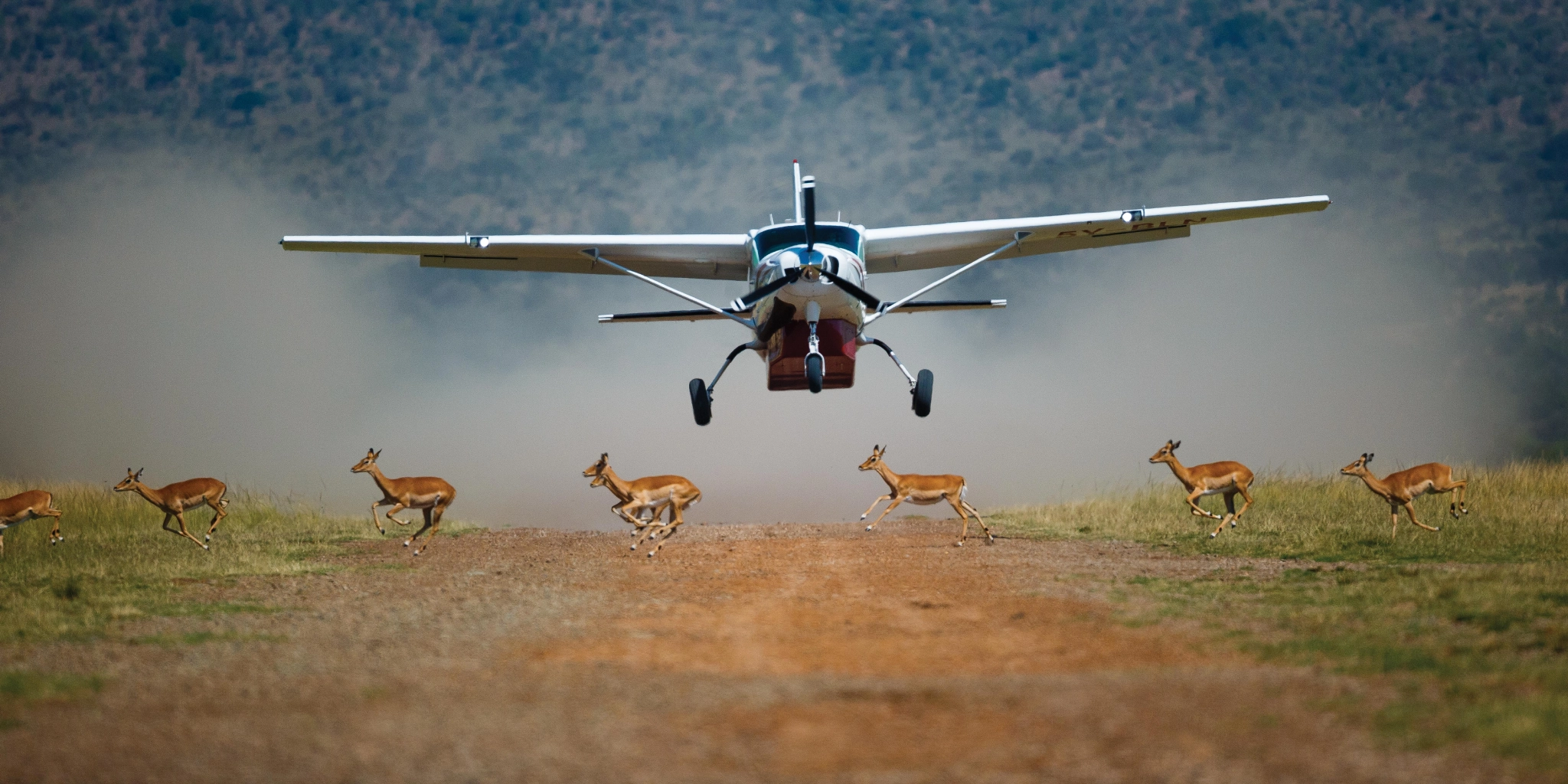 3-Days Masai Mara Flight Safari with Private 4×4 Jeep