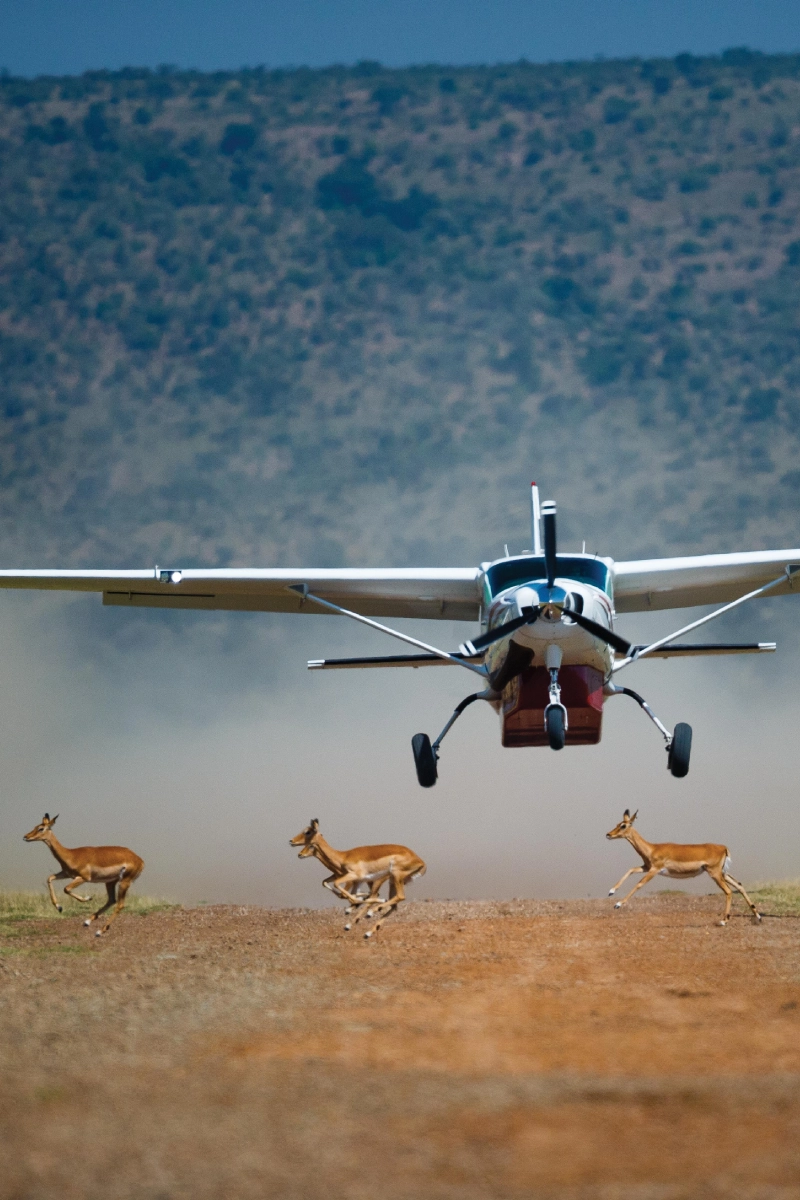 3-Days Masai Mara Flight Safari with Private 4×4 Jeep