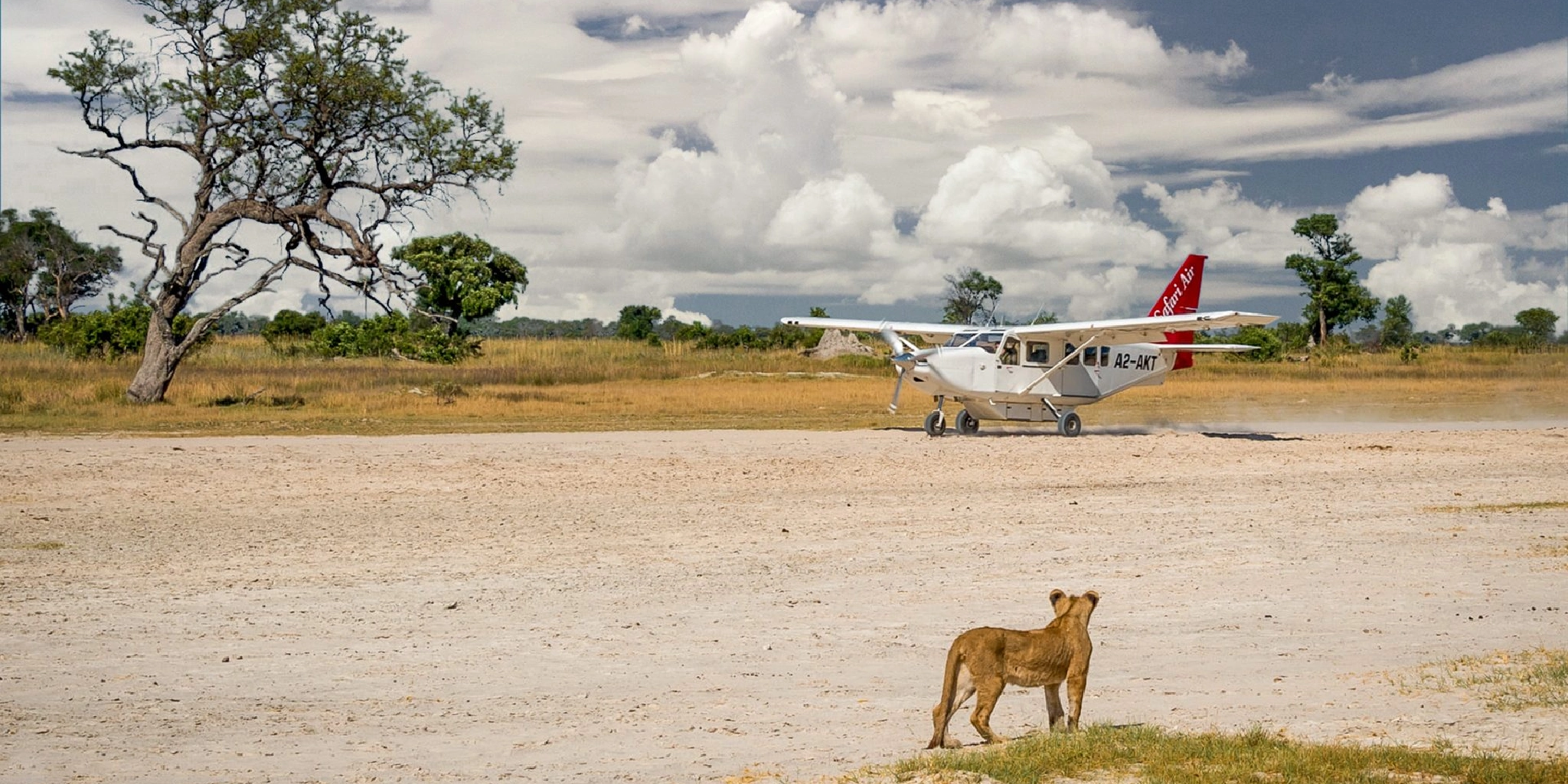 3-Days Masai Mara Fly-Drive Safari from Mombasa 