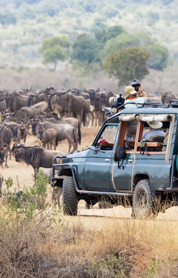 3 Days Masai Mara Private Jeep Safari – From Nairobi wildlife