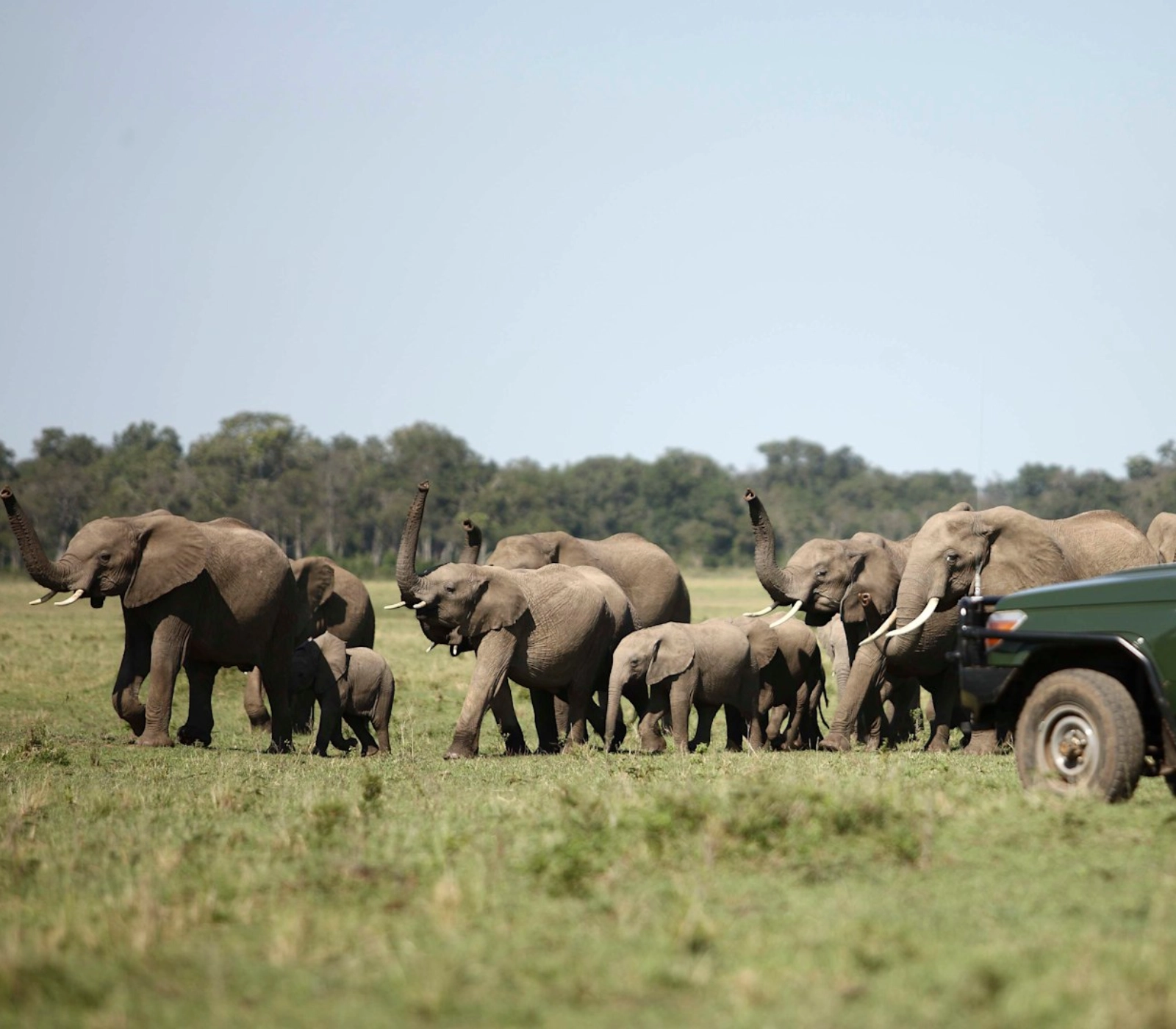 3 Days Masai Mara Private Jeep Safari – From Nairobi Attractions
