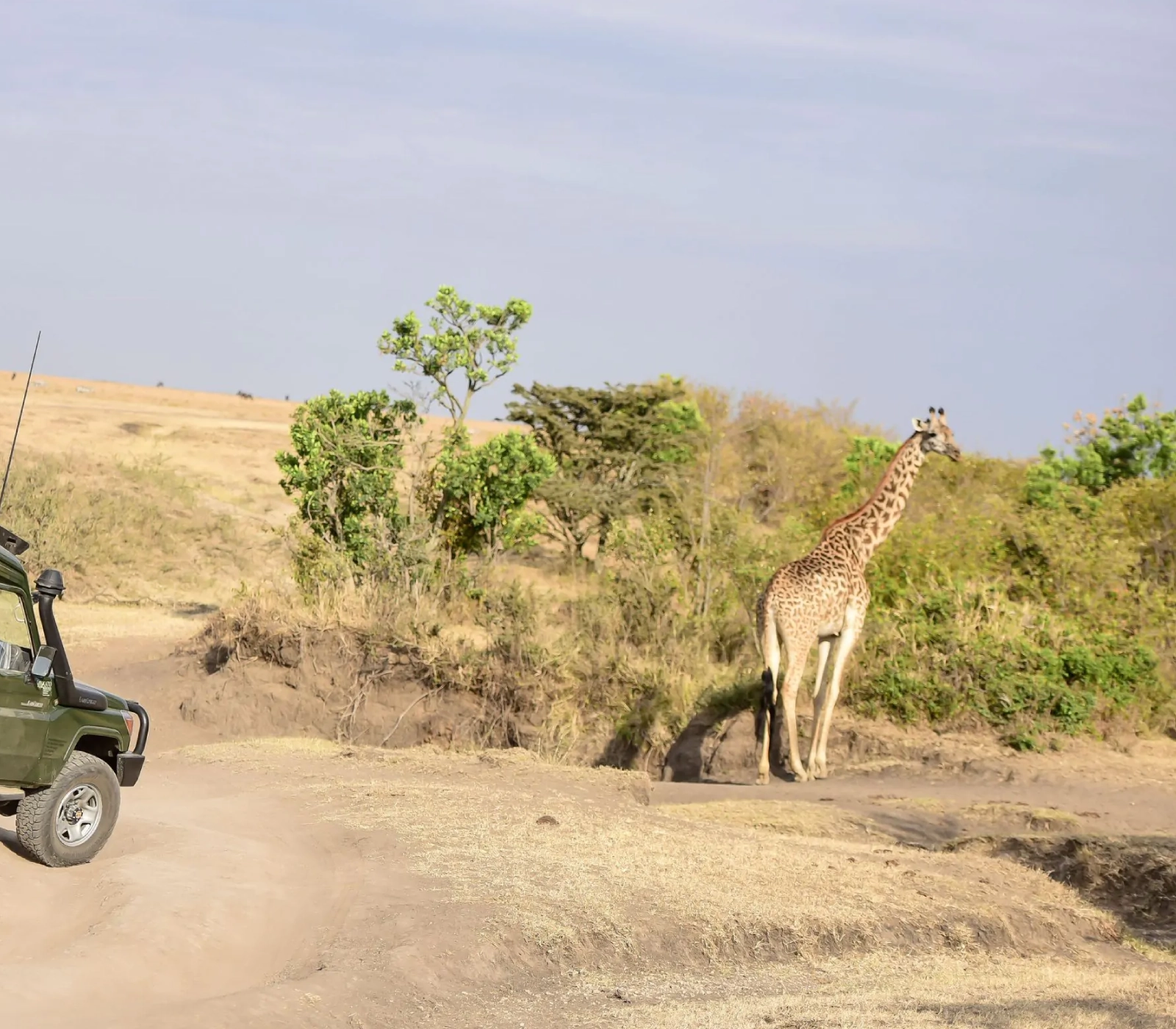 3 Days Masai Mara Private Jeep Safari – From Nairobi Attractions
