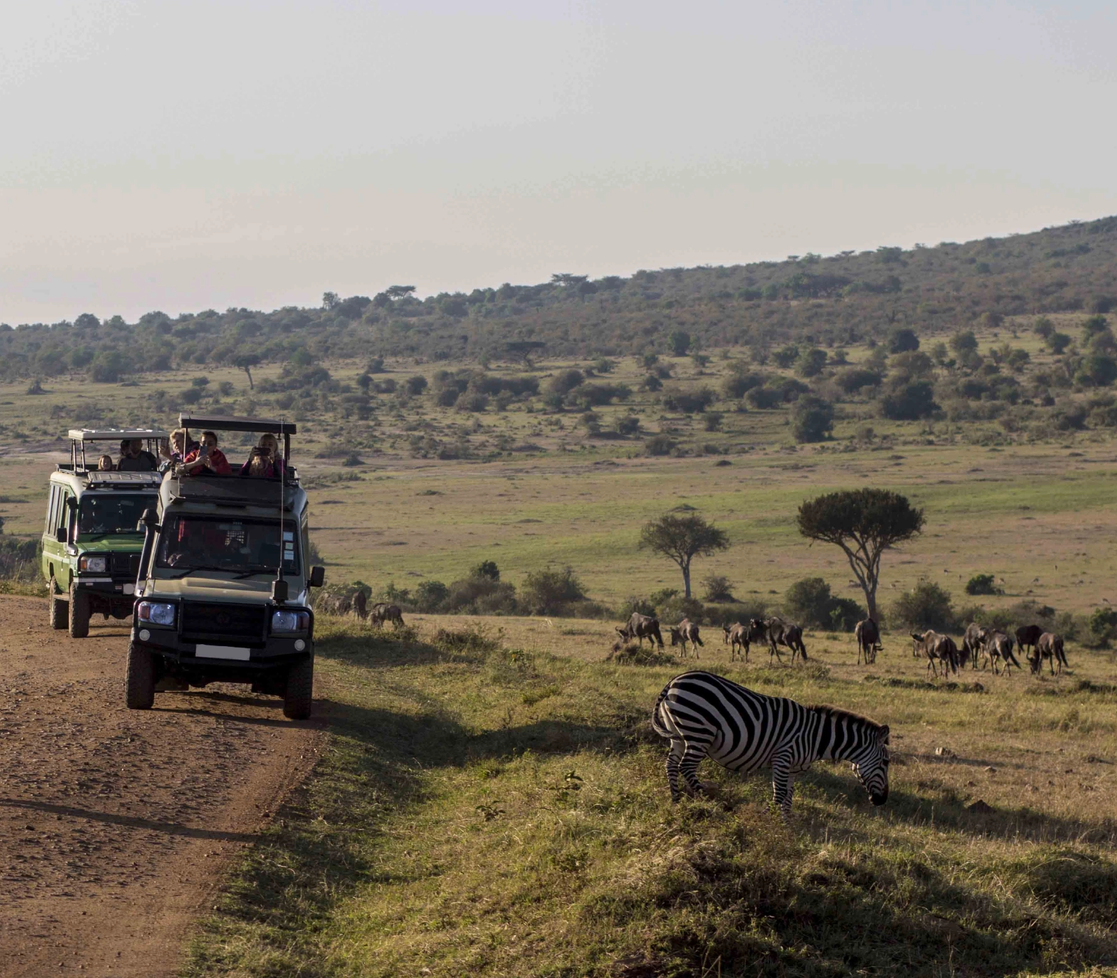 3 Days Masai Mara Private Jeep Safari – From Nairobi Attractions