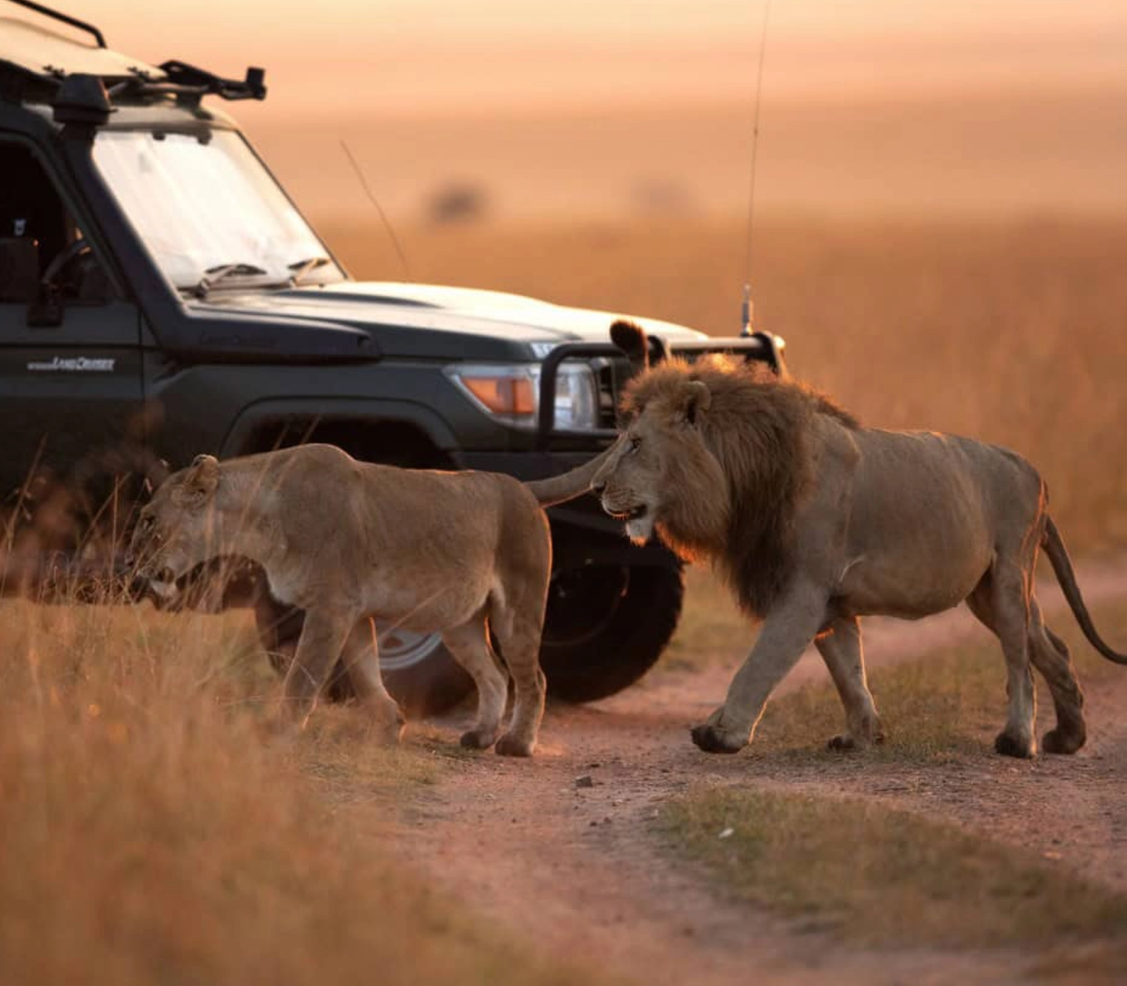 3 Days Masai Mara Private Jeep Safari – From Nairobi Attractions