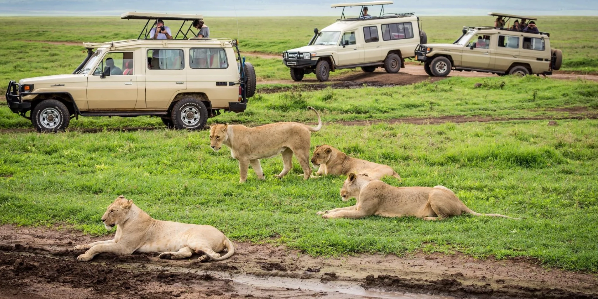 3 Days Masai Mara Private Jeep Safari – From Nairobi