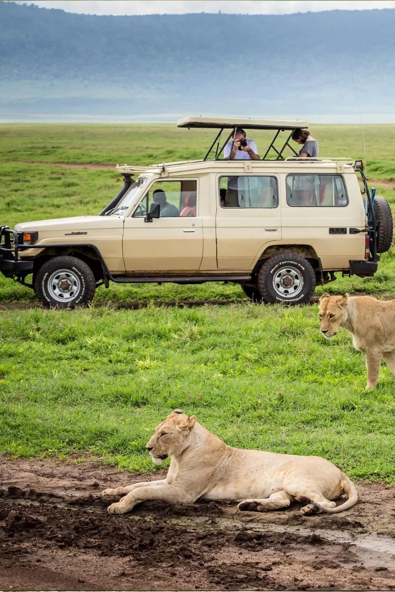 3 Days Masai Mara Private Jeep Safari – From Nairobi