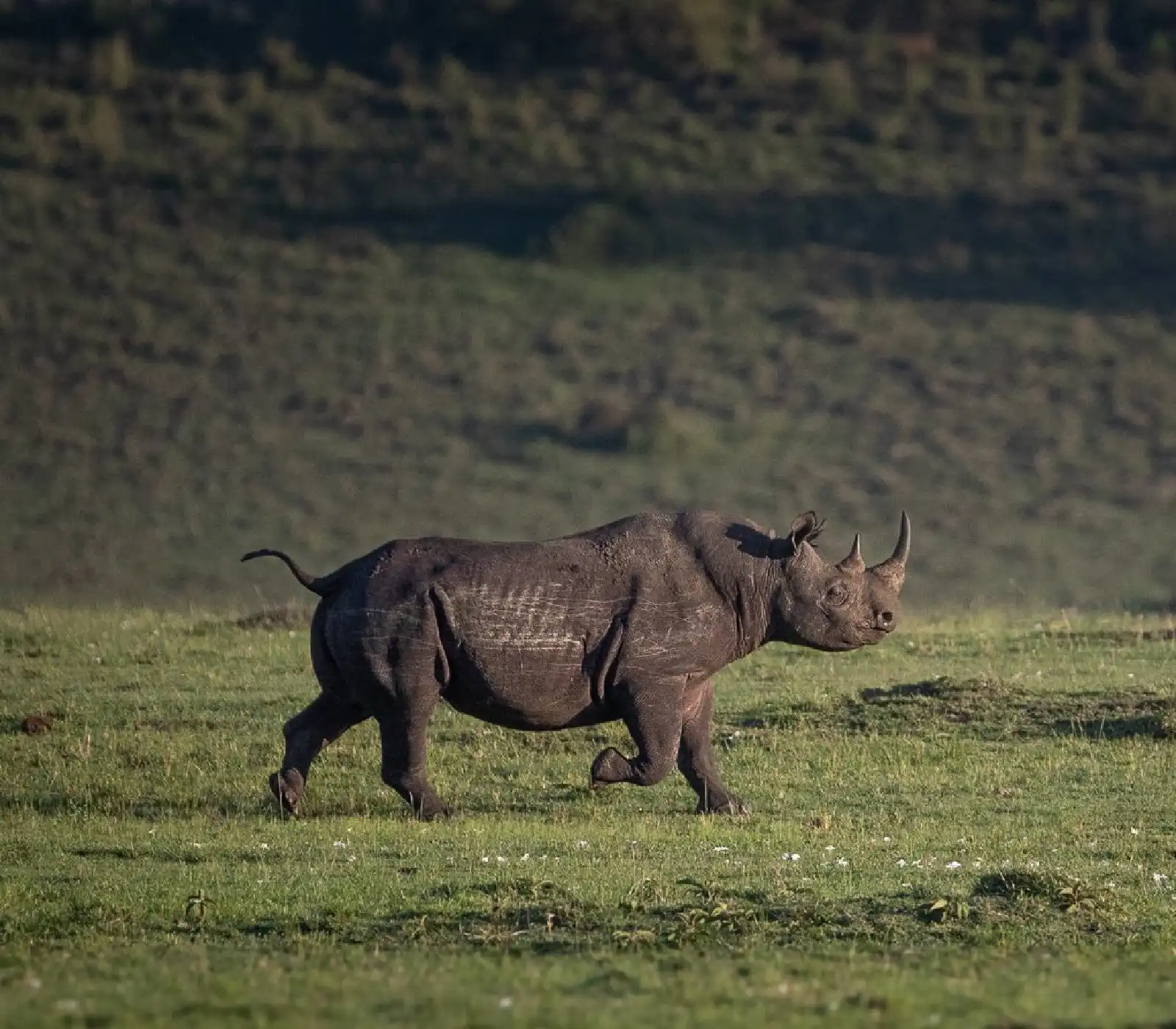 3 Days Masai Mara Safari attractions