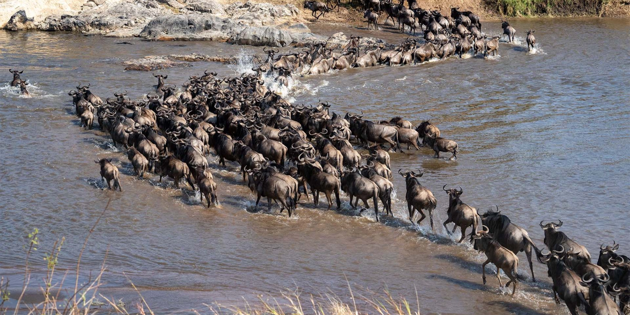 3-Days Masai Mara Shared Group Safari