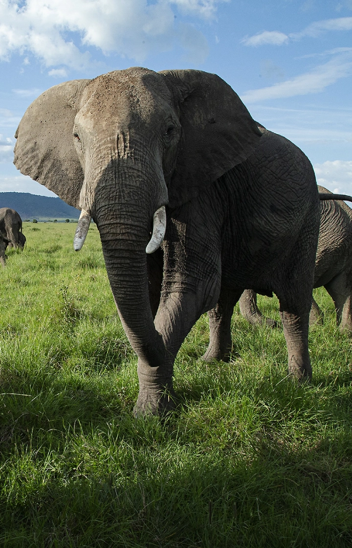 3-Days Northern Kenya Safari  