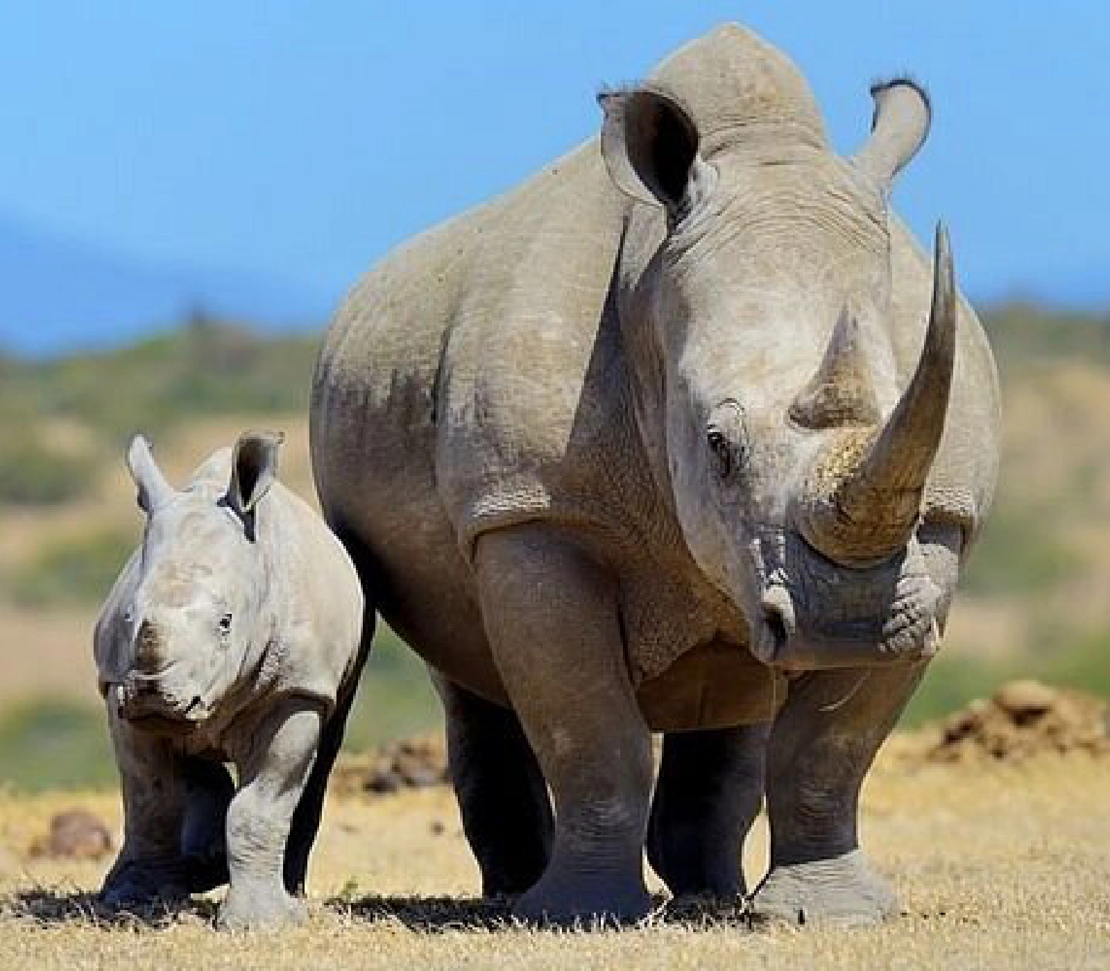 3-Days Northern Kenya Safari   Attractions