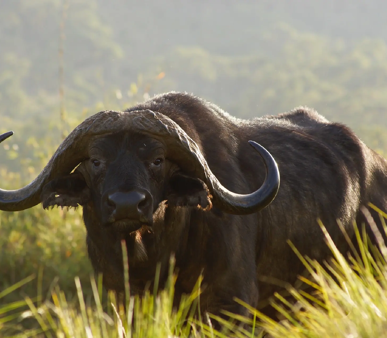 3-Days Northern Kenya Safari  Attractions