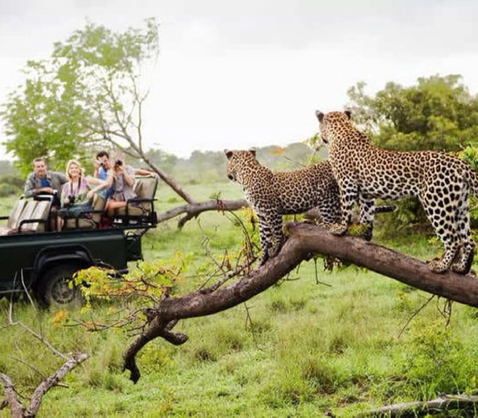 3-Days Northern Kenya Safari  Attractions