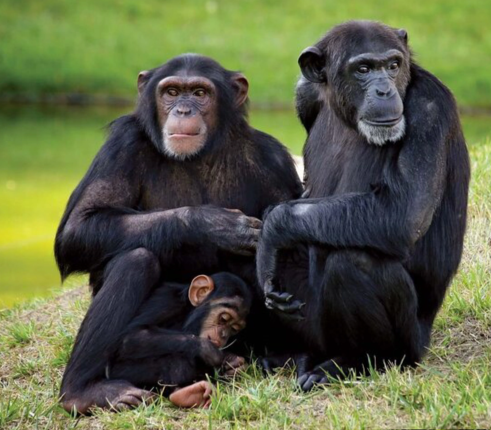 3-Days Northern Kenya Safari   Attractions