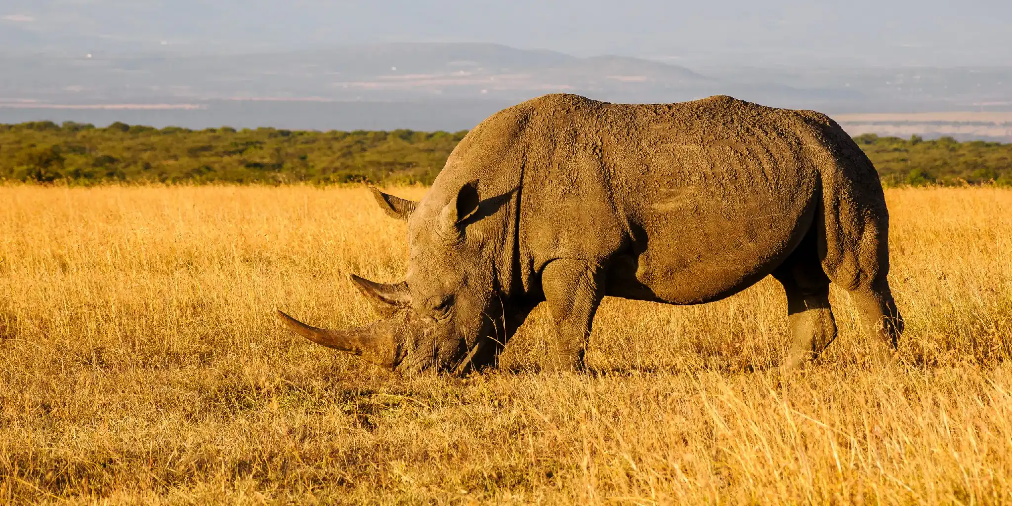 3 days samburu fly-in safari