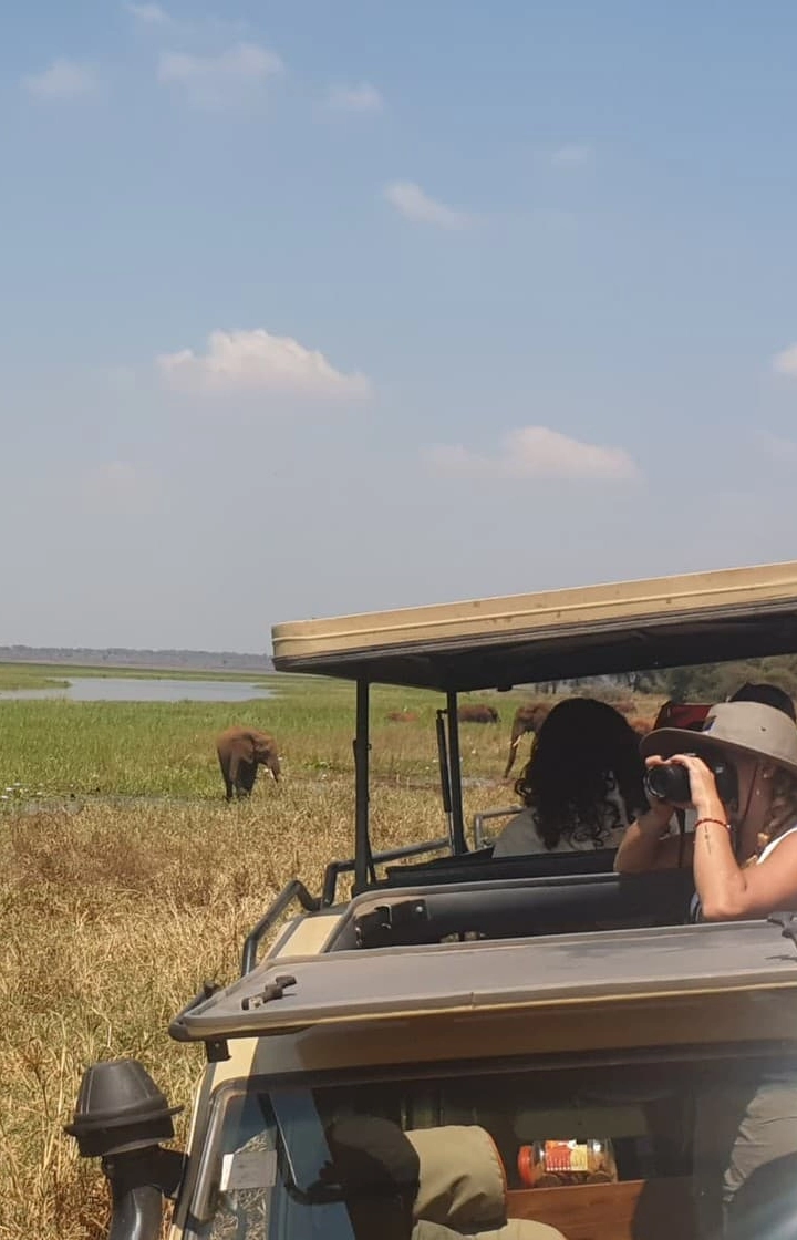 3-Days Samburu Game Reserve Safari in a Land Cruiser wildlife