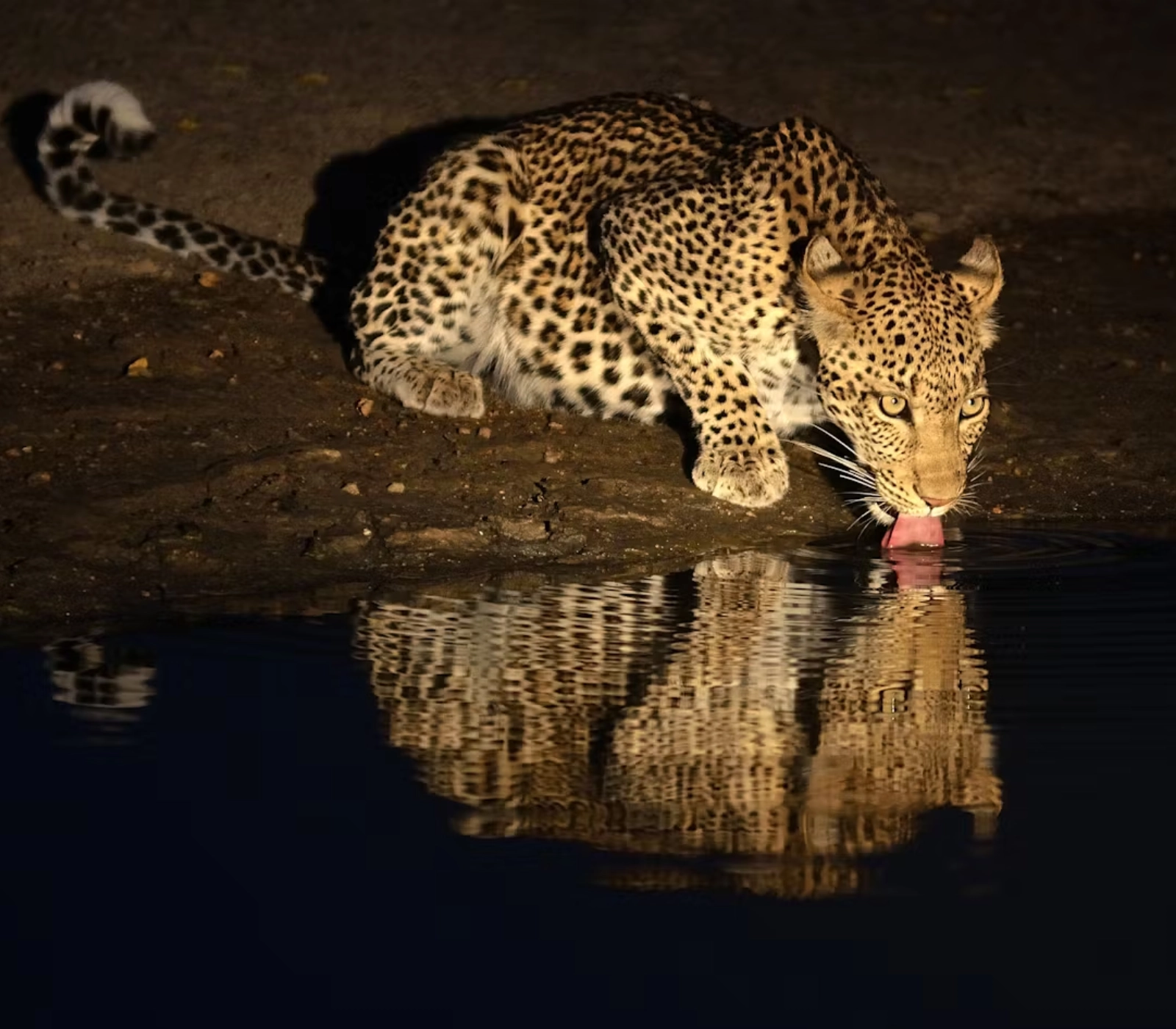 3-Days Samburu Game Reserve Safari in a Land Cruiser Attractions