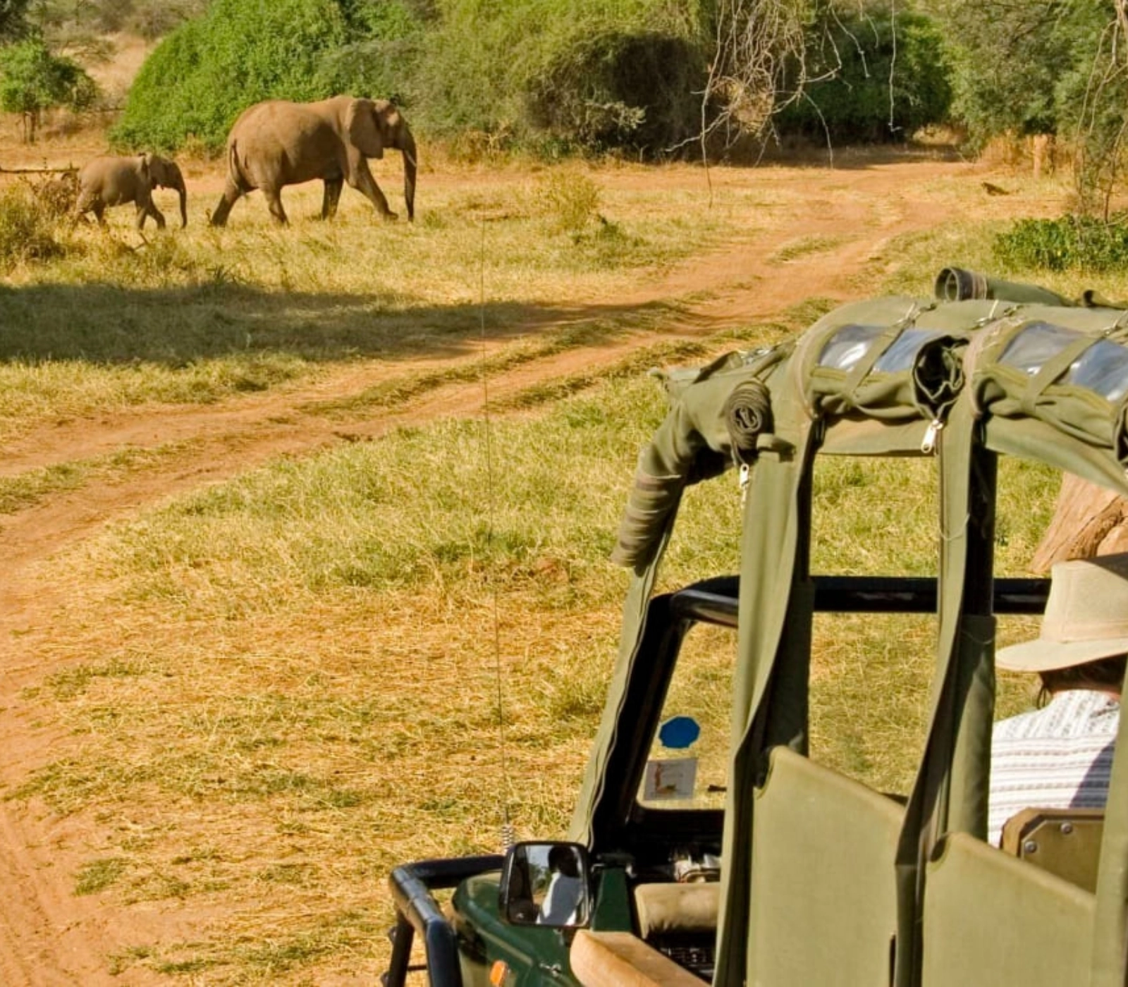 3-Days Samburu Game Reserve Safari in a Land Cruiser Attractions