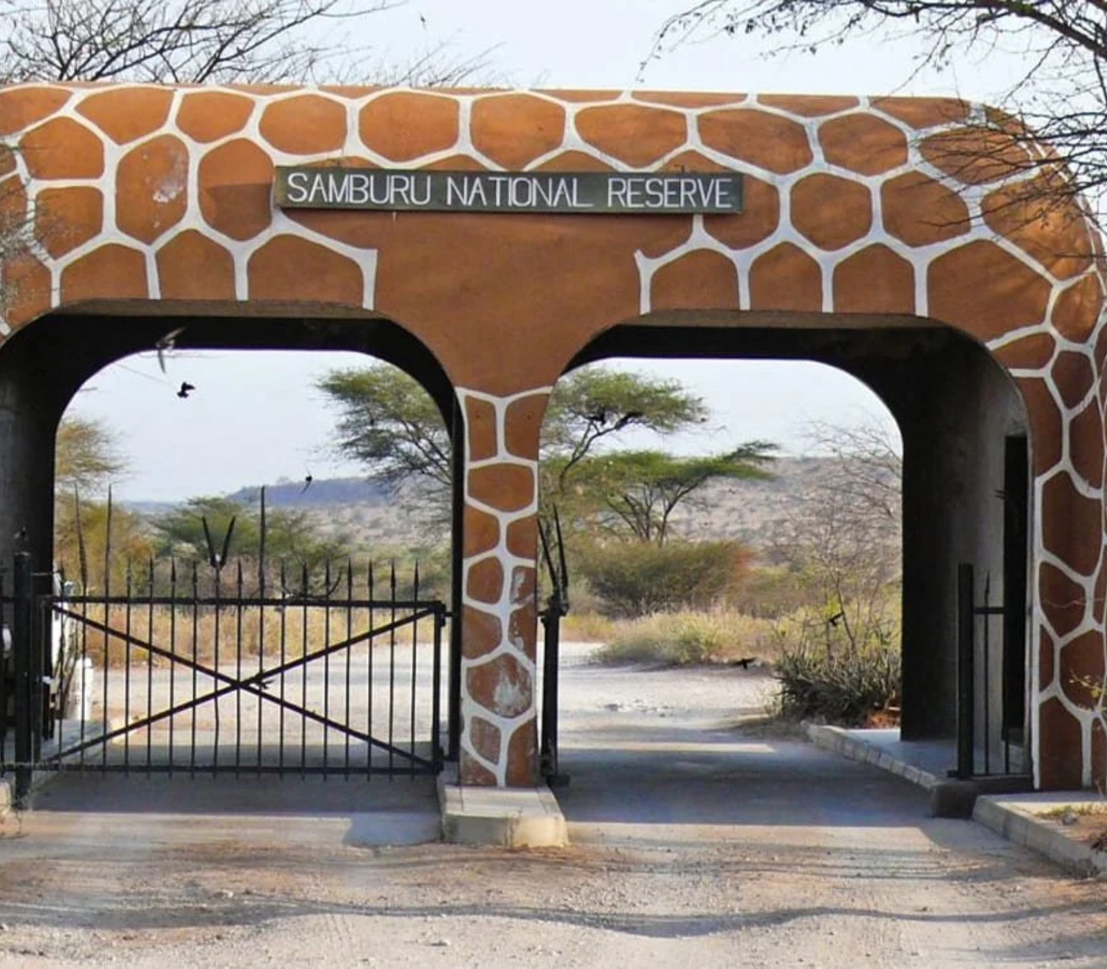 3-Days Samburu Game Reserve Safari in a Land Cruiser Attractions