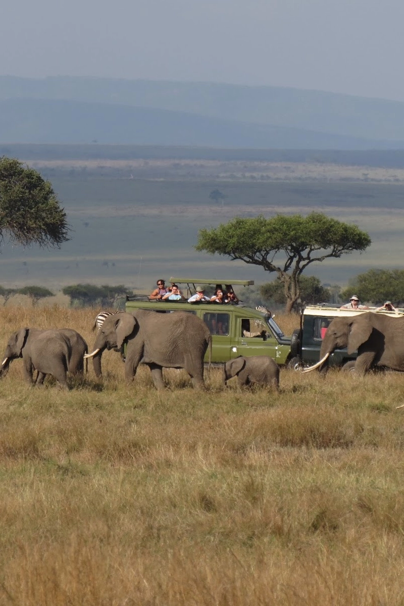 3-Days Samburu Game Reserve Safari in a Land Cruiser