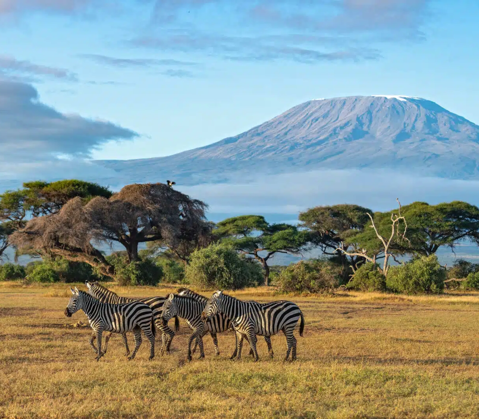 3-Days Tsavo East & Amboseli National Park Safari Attractions