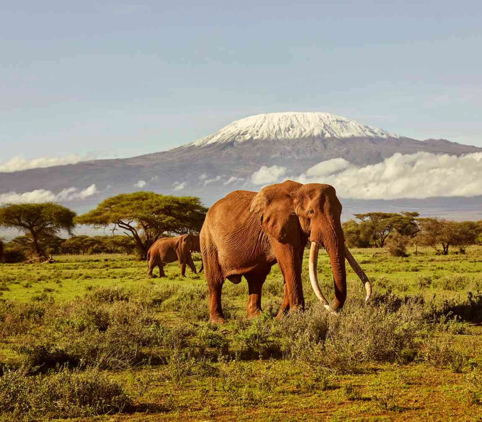 3-Days Tsavo East & Amboseli National Park Safari Attractions