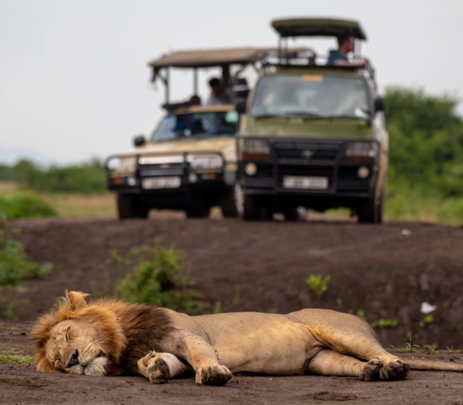 3-Days Tsavo East & Amboseli National Park Safari Attractions