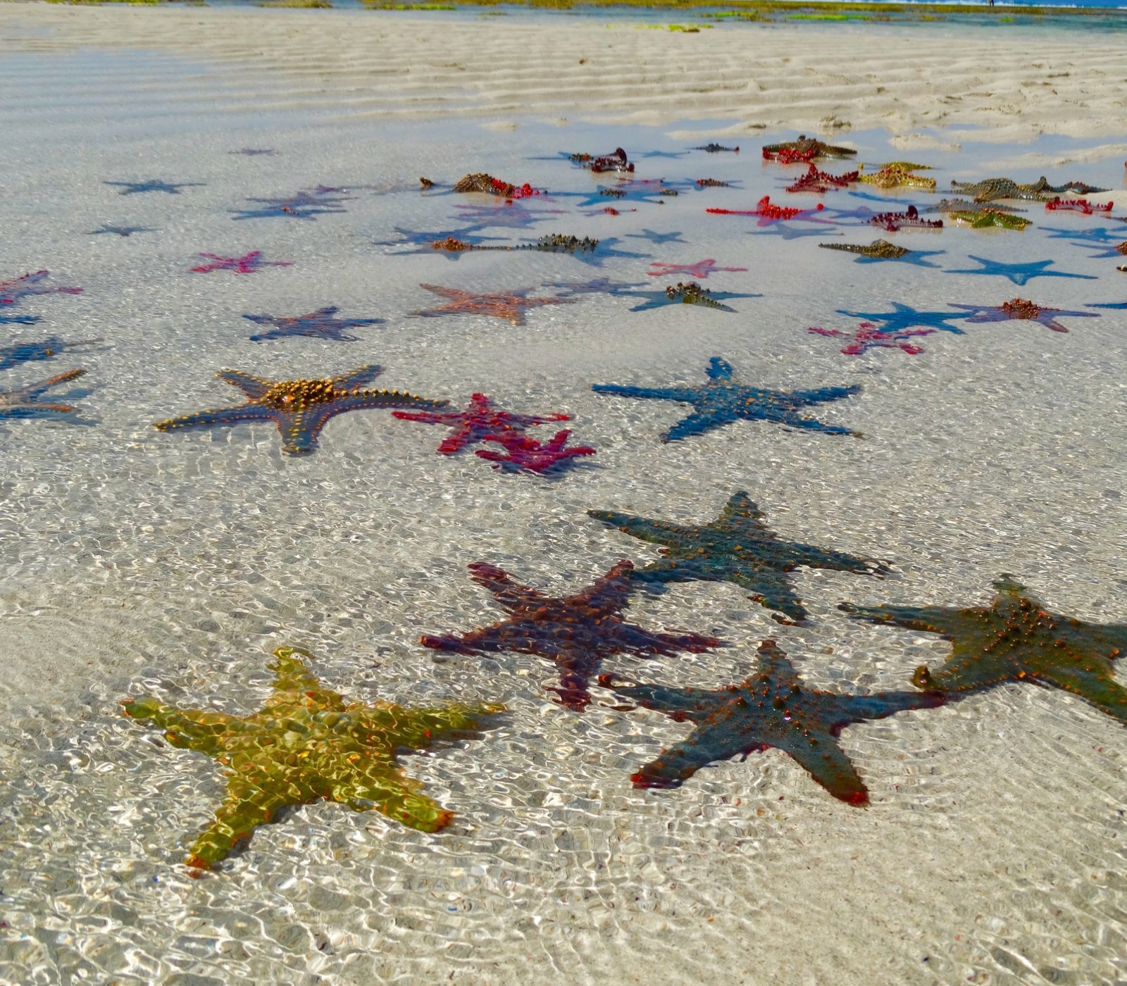 3-Days Tsavo East & Tsavo West National Park Safari Diani Beach