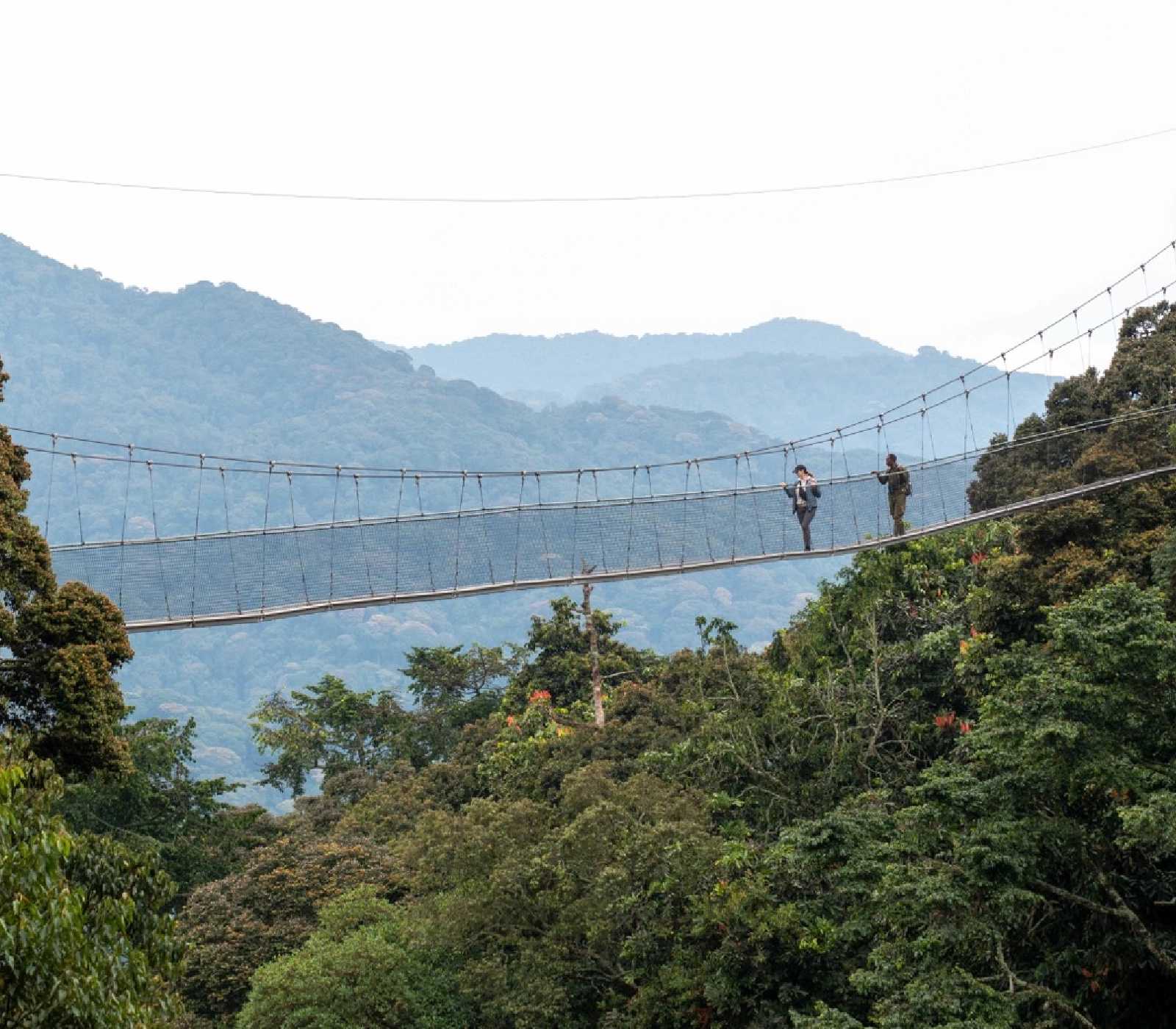 4 Days Chimpanzee Trekking in Rwanda Attractions