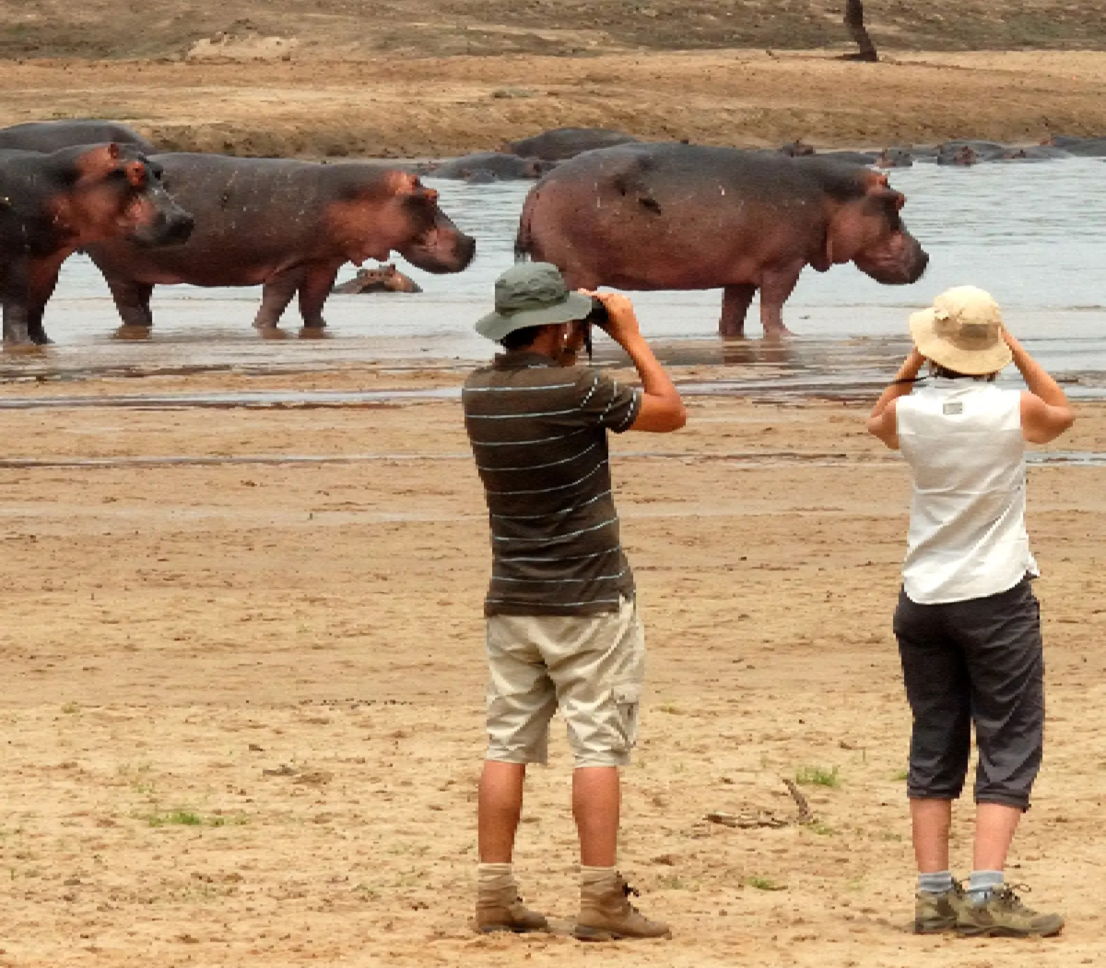 2-Day, 1-Night Tsavo East & West Safari