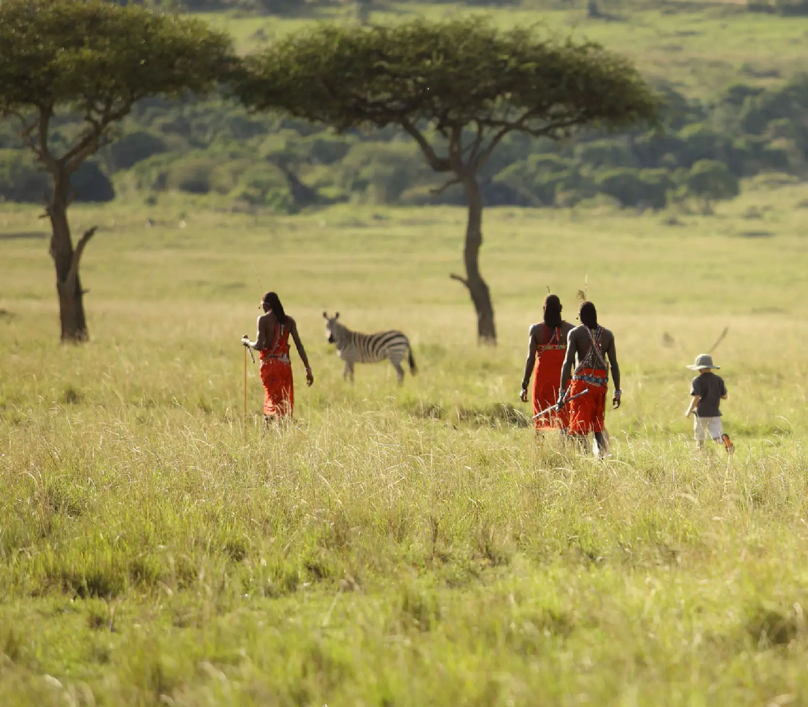 2-Day, 1-Night Tsavo East & West Safari