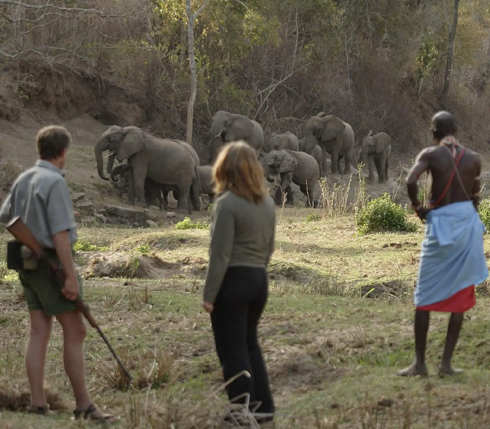 2-Day, 1-Night Tsavo East & West Safari