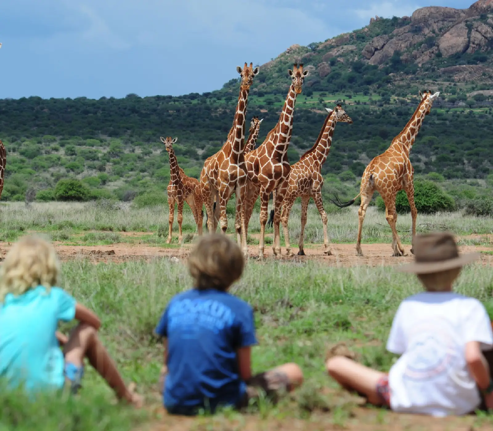 4 Days Kenya Walking Safari wildlife